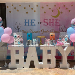 Twinkle Twinkle Little Star Theme Gender Reveal Photography Backdrop