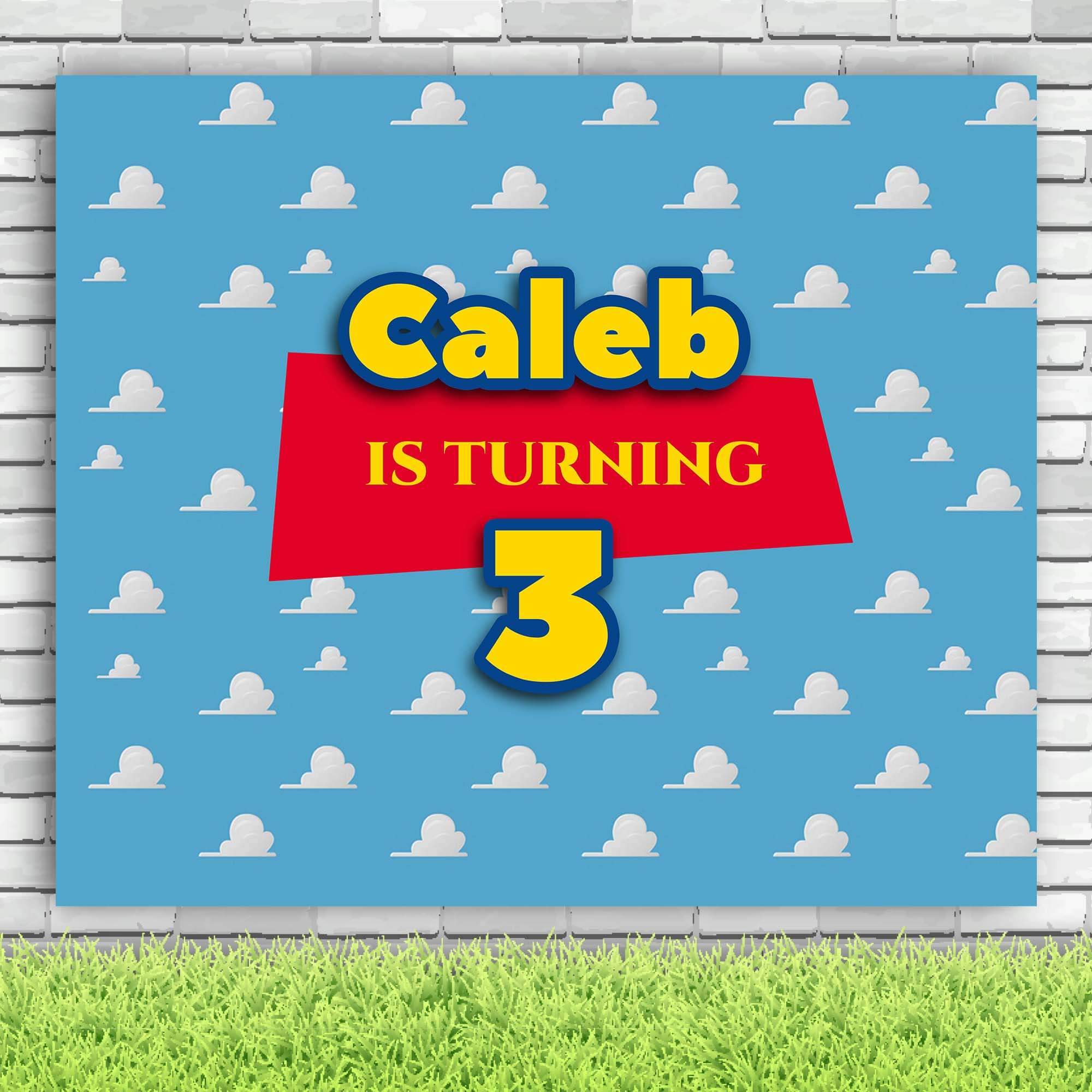 Toy Story Background for Birthdays - iJay Backdrops