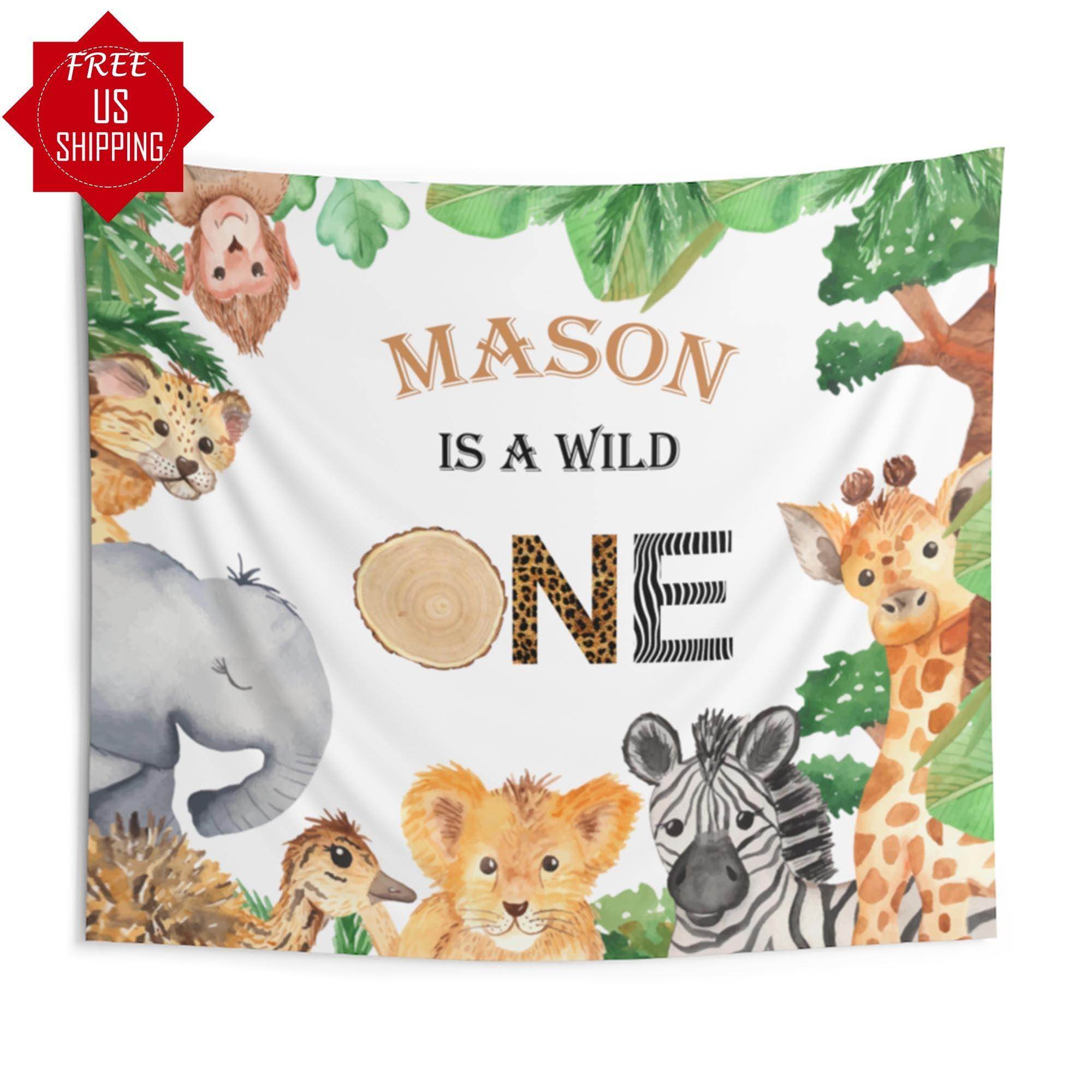Wild One Backdrop for Birthday Party - iJay Backdrops