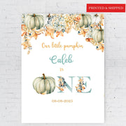 Fall Pumpkin Welcome Sign Printed 1st Birthday Decor Gender Neutral First Birthday Poster One Year Autumn Party Our Little Pumpkin Party