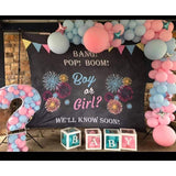Gender Reveal Decorations, Chalkboard Backdrop, Boy or Girl Banner, He or She Backdrop, Pink or Blue, What will baby be 01BSCB