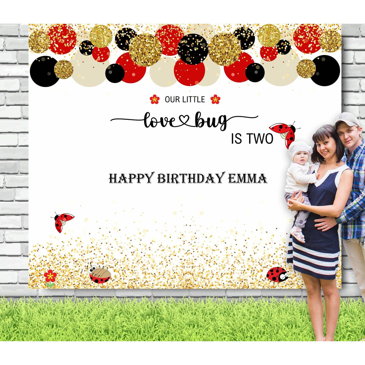 Ladybug Birthday Backdrop - iJay Backdrops